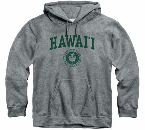 Picture of Barnesmith University of Hawaii UH Warriors Hooded Sweatshirt, Heritage, Charcoal Grey, X-Large