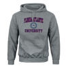 Picture of Barnesmith Florida Atlantic University FAU Owls Hooded Sweatshirt, Heritage, Charcoal Grey, Medium