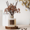 Picture of Cocorrína Reed Diffuser Sets - Coffee & Chocolate Scented Diffuser with Sticks Home Fragrance Reed Diffuser for Bathroom Shelf Decor
