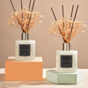 Picture of Cocorrína Premium Reed Diffuser Set with Preserved Baby's Breath & Cotton Stick Black Forest 2 Packs, 6.7oz Scent Fragrance Oil Diffuser for Bedroom Bathroom Home Décor
