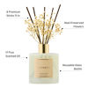 Picture of COCORRÍNA Reed Diffuser - Clean Linen 17 Fl.oz Reed Diffuser with 8 Sticks Scented Diffuser with Preserved Flowers for Bathroom Home Decor