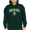 Picture of Campus Colors Adult Arch & Logo Soft Style Gameday Hooded Sweatshirt (Colorado State Rams - Green, Large)