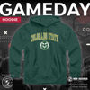 Picture of Campus Colors Adult Arch & Logo Soft Style Gameday Hooded Sweatshirt (Colorado State Rams - Green, Large)