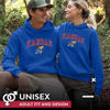 Picture of Campus Colors Adult Arch & Logo Soft Style Gameday Hooded Sweatshirt (Kansas Jayhawks - Royal, X-Large)