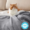 Picture of Bedsure Sherpa Fleece Throw Blanket Twin Size for Couch - Thick and Warm, Soft Fuzzy Plush Blanke for Winter, Grey, 60x80 Inches