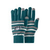 Picture of FOCO Philadelphia Eagles NFL Stretch Gloves