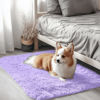 Picture of OLANLY 2x3 Machine Washable Small Bedside Rug, Soft Fluffy Shaggy Entryway Throw Rugs for Bedroom, Living Room, Indoor Floor Carpet for Kids Girl Boy, Nursery Room, Home Decor Aesthetic, Light Purple