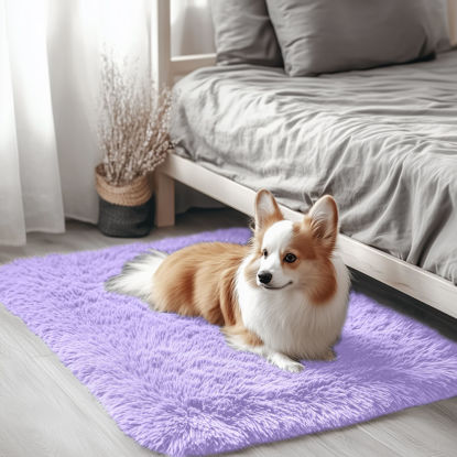 Picture of OLANLY 2x3 Machine Washable Small Bedside Rug, Soft Fluffy Shaggy Entryway Throw Rugs for Bedroom, Living Room, Indoor Floor Carpet for Kids Girl Boy, Nursery Room, Home Decor Aesthetic, Light Purple