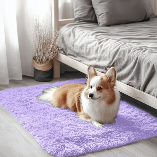Picture of OLANLY 2x3 Machine Washable Small Bedside Rug, Soft Fluffy Shaggy Entryway Throw Rugs for Bedroom, Living Room, Indoor Floor Carpet for Kids Girl Boy, Nursery Room, Home Decor Aesthetic, Light Purple