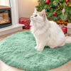 Picture of OLANLY Mint Green Round Rugs for Bedroom - Machine Washable, 2x2 Feet Circle Area Rugs for Living Room, Soft and Fluffy Shaggy Carpet for Teen Girl and Boys, Dorms, Nursery Rooms, Home Decor Aesthetic