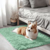 Picture of OLANLY 2x3 Machine Washable Small Bedside Rug, Soft Fluffy Shaggy Entryway Throw Rugs for Bedroom, Living Room, Indoor Floor Carpet for Kids Girls Boy, Nursery Rooms, Home Decor Aesthetic, Mint Green