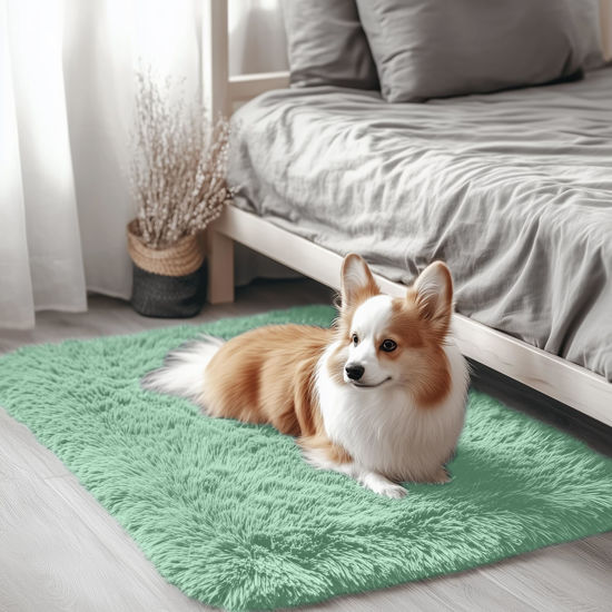 Picture of OLANLY 2x3 Machine Washable Small Bedside Rug, Soft Fluffy Shaggy Entryway Throw Rugs for Bedroom, Living Room, Indoor Floor Carpet for Kids Girls Boy, Nursery Rooms, Home Decor Aesthetic, Mint Green