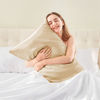 Picture of BEDELITE Satin Pillowcase for Hair and Skin, Super Soft and Cooling Similar to Silk Pillow Cases 2 Pack with Envelope Closure, Gift for Women Men(20"x36" King Size, Champagne)