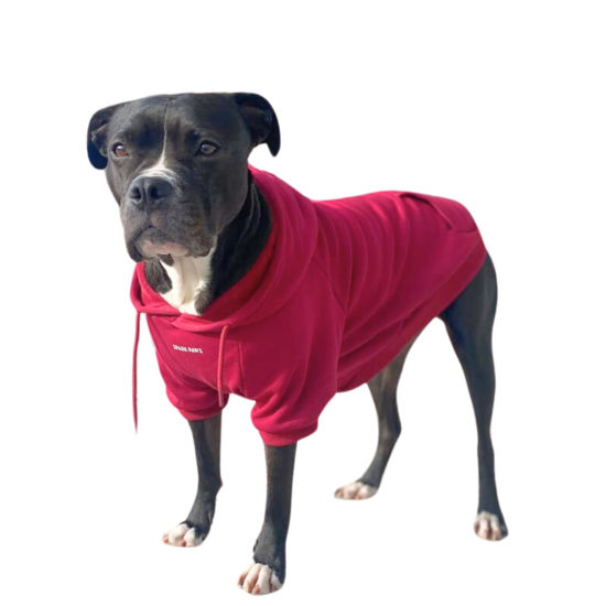 Picture of Spark Paws Dog Hoodie - Premium Quality, Buttery Soft, Superior Comfort and Fit, Calming Fleece Interior, Suitable for All Breeds - Burgundy - 2XL