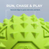 Picture of Best Pet Supplies Squeaky Rubber Spiky Ball Dog Toy Durable Non-Toxic Perfect for Aggressive Chewers Spiked for Dental Health Interactive Dog Toy - Pack of 2 - Fuchsia, Green (L:3.5")
