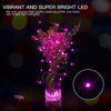 Picture of Brightown Valentine's Day 12 Pack Pink Led Fairy Lights Battery Operated String Lights Waterproof Silver Wire 7 Feet 20 Led Firefly Starry Moon Lights for DIY Wedding Party Bedroom