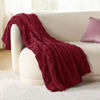 Picture of Bedsure Red Fleece Blanket for Couch - Super Soft Cozy Twin Blankets for Women, Cute Small Blanket for Girls, 60x80 Inches