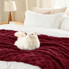 Picture of Bedsure Red Fleece Blanket for Couch - Super Soft Cozy Twin Blankets for Women, Cute Small Blanket for Girls, 60x80 Inches