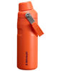 Picture of Stanley IceFlow Fast Flow Water Bottle 16 OZ | Angled Spout Lid | Lightweight & Leakproof for Travel & Gym | Insulated Stainless Steel | BPA-Free | Tigerlily Plum