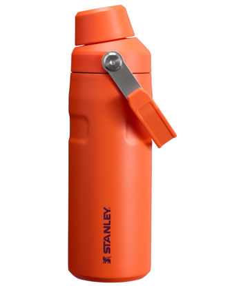 Picture of Stanley IceFlow Fast Flow Water Bottle 16 OZ | Angled Spout Lid | Lightweight & Leakproof for Travel & Gym | Insulated Stainless Steel | BPA-Free | Tigerlily Plum