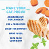 Picture of Shameless Pets Celebration Birthday Crunchy Cat Treats Chicken and Catnip Treats with Digestive Support