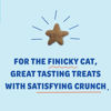 Picture of Shameless Pets Celebration Birthday Crunchy Cat Treats Chicken and Catnip Treats with Digestive Support