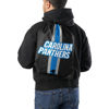 Picture of FOCO Carolina Panthers NFL Team Stripe Wordmark Drawstring Backpack