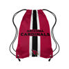 Picture of FOCO Arizona Cardinals NFL Team Stripe Wordmark Drawstring Backpack