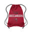 Picture of FOCO Tampa Bay Buccaneers NFL Property Of Drawstring Backpack