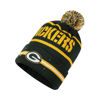 Picture of FOCO NFL Unisex-Adult Officially Licensed LED Light Up Classic Cuffed Knit Beanie Cold Weather Hat (Green Bay Packers)