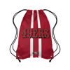 Picture of FOCO San Francisco 49ers NFL Team Stripe Wordmark Drawstring Backpack