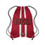 Picture of FOCO San Francisco 49ers NFL Team Stripe Wordmark Drawstring Backpack