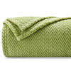 Picture of NEWCOSPLAY Super Soft Throw Blanket Green Premium Silky Flannel Fleece Leaves Pattern Lightweight Bed Blanket All Season Use (Green, Throw(40"x50"))