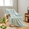 Picture of NEWCOSPLAY Super Soft Throw Blanket Mint Premium Silky Flannel Fleece Leaves Pattern Lightweight Bed Blanket All Season Use (Mint, Throw(50"x60"))