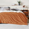 Picture of Bedsure Sherpa Fleece Blankets Queen Size for Bed - Thick and Warm, Soft Fuzzy Plush Queen Blanket for Winter, Burnt Orange, 90x90 Inches