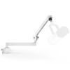 Picture of InnoGear Low Profile Mic Arm, 360° Rotatable Microphone Boom Arm Mic Stand for Fifine AM8 K669B Blue Yeti HyperX QuadCast SoloCast AT2020, with Mic Clip 3/8" to 5/8", 3/8" to 1/4" Adapter, White