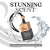 Picture of Greed Car Air Freshener for Men | Aventos Perfume Inspired Fragrances | Strong Freshener with Odour Eliminator Technology | Creed Air Freshener | Long Lasting Scents by Perfa
