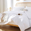 Picture of ROSGONIA Twin/Twin XL Comforter Set for College Girls Boys White, 1 Boho Comforter & 1 Pillowcase, Lightweight Kids Comforter All Season Dorm Bedding