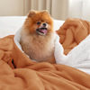 Picture of Bedsure Sherpa Fleece Throw Blanket for Couch - Thick and Warm, Soft Fuzzy Plush Throw Blanket for Winter, Burnt Orange, 50x60 Inches