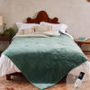 Picture of GOTCOZY Heated Blanket Twin Size - Electric Blanket with 6 Heating Level & 10 Hour Auto Off Heating Blanket, ETL Certified (62X84 Inch Green)