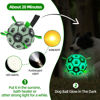 Picture of QDAN Glow in The Dark Dog Toys Soccer Ball with Straps - Light Up Dog Balls for Large Dogs, Interactive Dog Toys with Strap for Tug of War,Puppy Birthday Gifts (8 Inch)