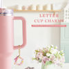 Picture of Letter Charm Accessories for Stanley Cup 1 PCS Cute Initial Keychain Handle Charm for Stanley Tumbler for Women Pink Letter D