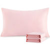Picture of NTBAY Standard Pillowcase Set - 2 Pack Brushed Microfiber 20x26 Pillowcases - Soft, Wrinkle-Free, Fade-Resistant, Stain-Resistant, Blush Pink Pillowcases with Envelope Closure - 20x26 Inches
