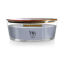 Picture of WoodWick Hypnoflora Ellipse Candle