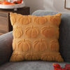 Picture of DFXSZ Fall Pillow Covers 18x18 Set of 2 Fall Decorations Light Orange Pumpkin Throw Pillow Cases Soft Plush Faux Fur Wool Couch Cushion Case for Chair Sofa Bedroom Living Room Home Decor PTK012D18