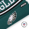 Picture of FOCO Philadelphia Eagles NFL Logo Stripe Pom Beanie Hat, Team Color
