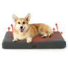 Picture of Bedsure Medium Dog Bed for Medium Dogs - Self Warming Orthopedic Dog Beds with Removable Washable Cover, Egg Crate Foam Pet Bed Mat, Ashen Grey