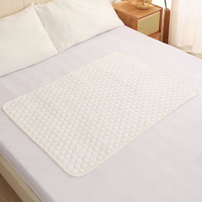 Picture of BlueSnail Washable Underpads,Waterproof,Soft, Portable and Reusable Incontinence Pads for Toddler,Adults,Elderly and Pets (31" x 40" Pack of 2)(White)