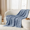 Picture of Bedsure Ashley Blue Fleece Blanket for Couch - Super Soft Cozy Twin Blankets for Women, Cute Small Throws for Girls, 60x80 Inches