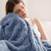 Picture of Bedsure Ashley Blue Fleece Blanket for Couch - Super Soft Cozy Twin Blankets for Women, Cute Small Throws for Girls, 60x80 Inches